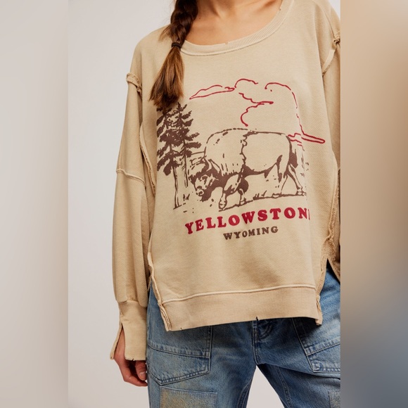 🆕FREE PEOPLE YELLOWSTONE We The Free Graphic Camden Pullover-Size Small - Picture 6 of 15